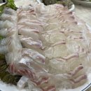 대부도 탄도항 회센터 맛집 최가네 횟집 내돈내산 후기