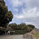 한국지엠서귀포 바로서비스 | 제주도 서귀포 여행 필수 오설록 티뮤지엄 녹차밭 이니스프리 후기