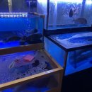 유미수산 이미지