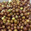 별마로농장 이미지