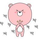 두푸딩하우스 이미지