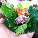 산골짜기쌈밥마을 이미지