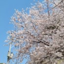 서울락비뇨기과의원 이미지