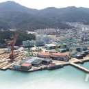 신아로 뉴시스