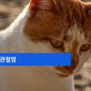 모래내동물병원 이미지