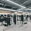 빌리버짐 석촌헬리오시티점 | 석촌헬스장 추천! 프리미엄 휘트니스 빌리버짐 석촌 헬리오시티점 방문 후기