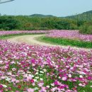 배드민턴경기장 옆 이미지