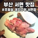 짝뒷고기 | 부산 서면 맛집 추천 초필살 돼지구이 껍데기 뒷고기 후기