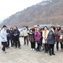 백억농장 이미지