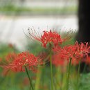 한대앞역 이미지