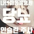 나만애동물병원