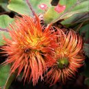 부평삼거리역 이미지