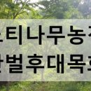 정용농장 이미지