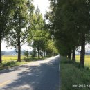 본량동 행정복지센터 이미지