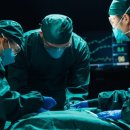 서울대병원도 못 피했다 외과 의사는 11번 성형외과는 단번에 기사 이미지
