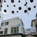 321베렌도 이미지