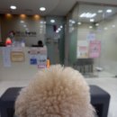 아인스 동물병원 이미지