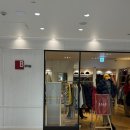 A0001 | 도쿄 필수 쇼핑리스트 | 단톤 자켓 패딩 텍스프리 가격, 재고 비교 후기 (Bshop, 시부야)