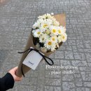 인느 이미지