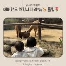 유나목장 | 에버랜드 워킹사파리 오픈런 성공기! 아이와 동선·대기시간·꿀팁 총정리