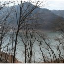 충주호 종댕이 티스토리