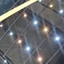 오토글로리 이미지