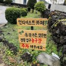 안덕면 서광초등학교 앞 | 제주안덕카페 추천 크로플이 맛있는 동광분교인디이스트