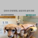 한양한방동물병원 이미지