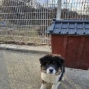 상영죽길 이미지