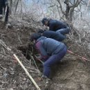 초월약초 이미지