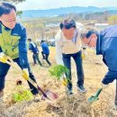 탑정호가 이미지