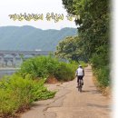 산곡천변 | 밤꽃에 대한 단상 (부제 : 유월의 향기..)