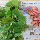 도담도담어린이집 이미지