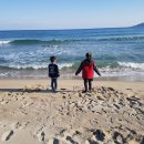 고래불 해수욕장 이미지