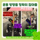 내몸에 맞는 다이어트 근육증가 재활운동 체형교정