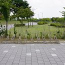 상서재마당근린공원 이미지