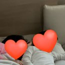 브래드팡 이미지