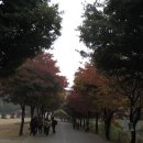 경기정보통신 이미지