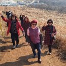 제주기사 이미지