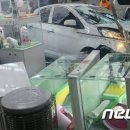 명애견센터 이미지