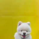 애경미용실 이미지