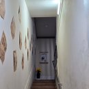 겸스시 | 연산동 술집 이자카야 겸 스시 가성비 안주 코스 맛집 인정 후기