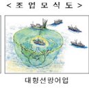 카카오 이미지