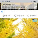 *** *** **** 번호는 *** **** ****으로 변경 되었습니다 이미지