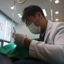 이앤유치과의원 이미지