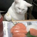 백일식당 네이버블로그