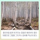 카드숲