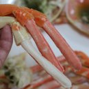 동해회대게수산 이미지