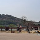 경기도 수원시 팔달구 정조로810번길 네이버블로그