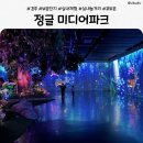 경주 정글미디어파크 후기｜보문 아이랑 가기 좋은 실내체험 추천